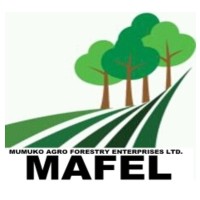 MUMUKO AGRO FORESTRY ENTERPRISE